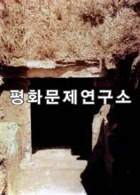 태성리 연꽃무덤(국보급 제63호)