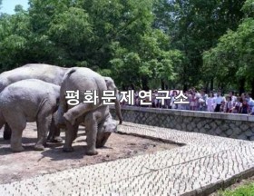 대성구역 대성산동물원 코끼리