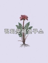 [자연지리]큰산송이풀