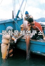 고성군 고성수산사업소 문어잡이