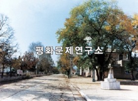 김형권읍 전경