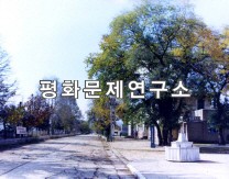 김형권읍 전경